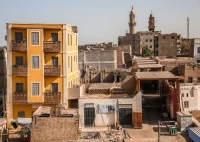 Pink Pineapple: Benny Blanco's Latest PR Stunt? (Pineapple-Mania Ensues)